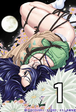月花美人